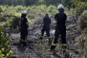 Waldbrand Koeln Hoehenhaus Hoehenfelder Mauspfad P077